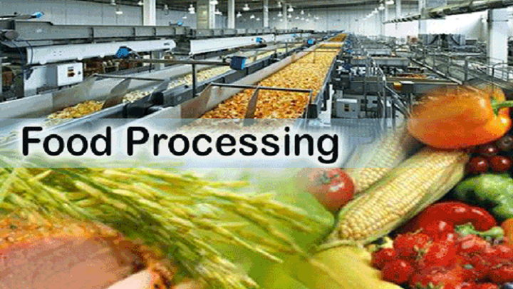 Food Processing Market Industry we serve
